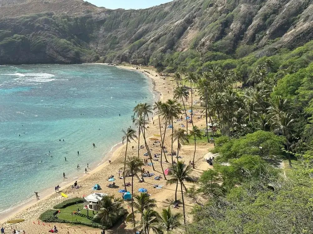 Hanauma Bay Snorkeling Tours & Lessons: Oahu Guided Snorkeling Experience