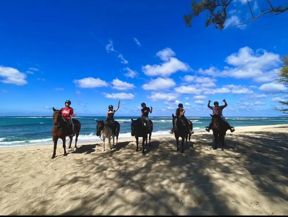 Scenic Horseback Riding on Oahu's North Shore with Stunning Ocean Views
