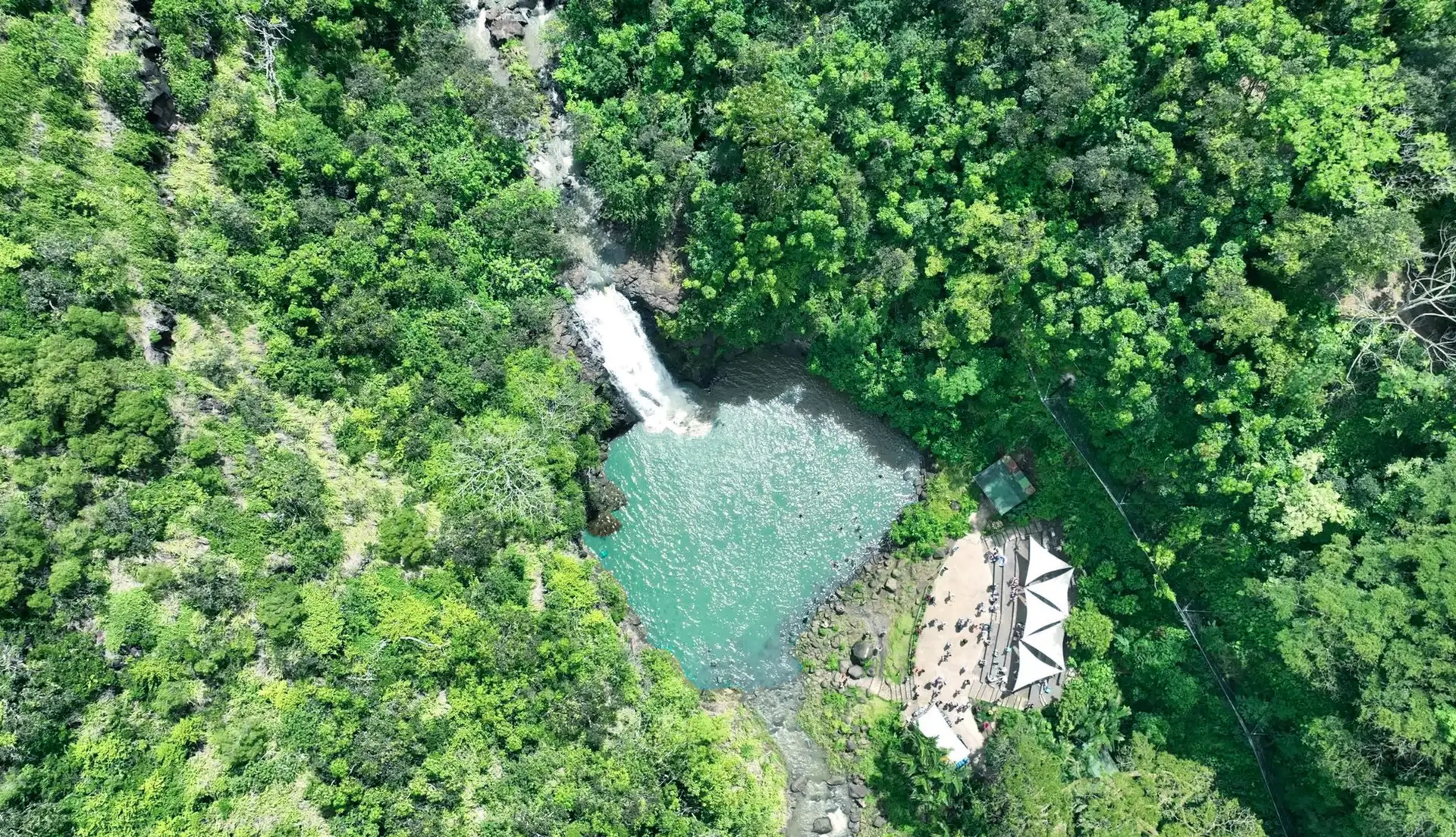 Oahu Waimea Waterfall Hike & Swim Tour with Dole Whip and Picnic Lunch