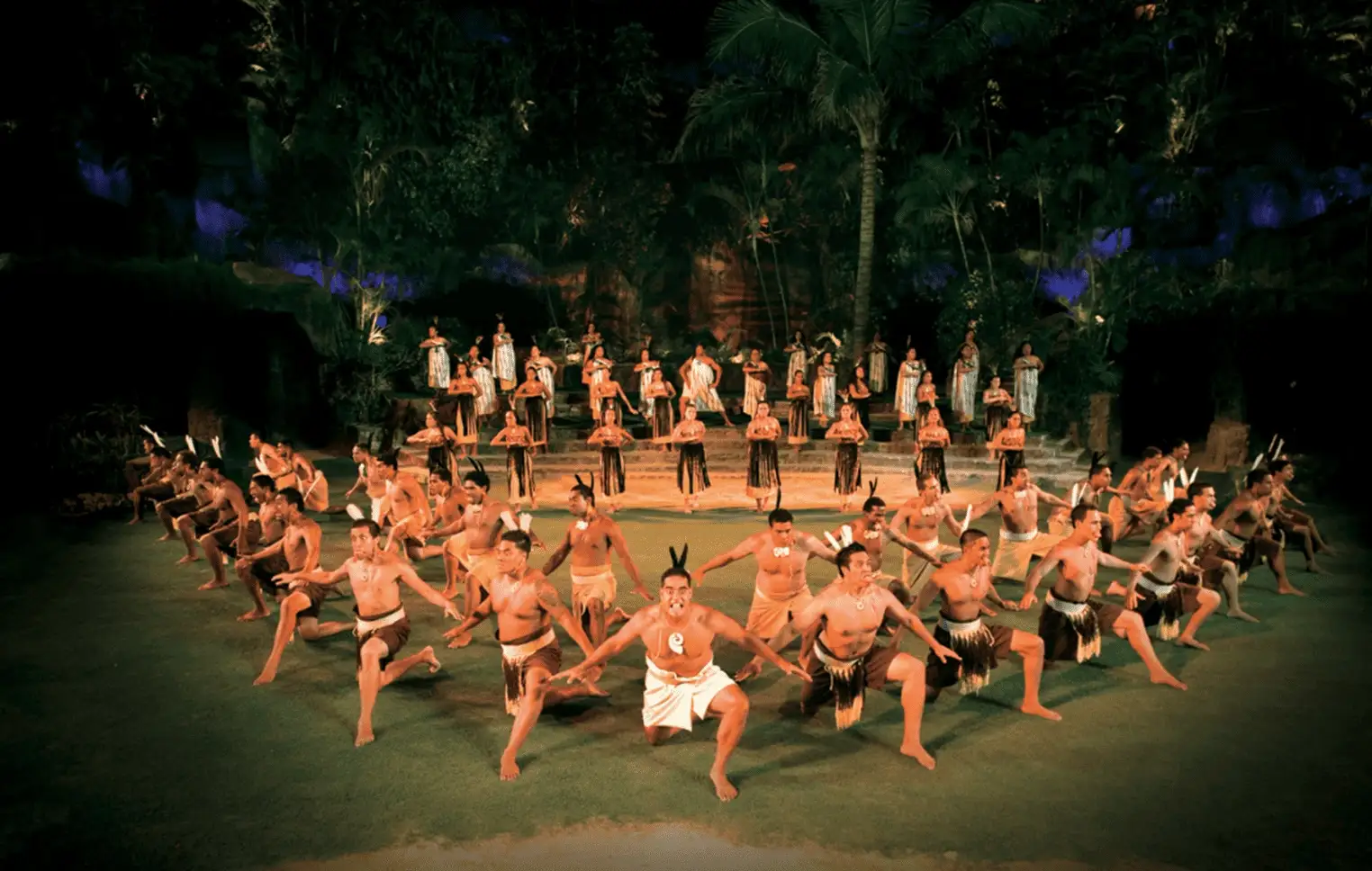 Islands of Polynesia Tour: Full-Day Cultural Village Access & HA Show