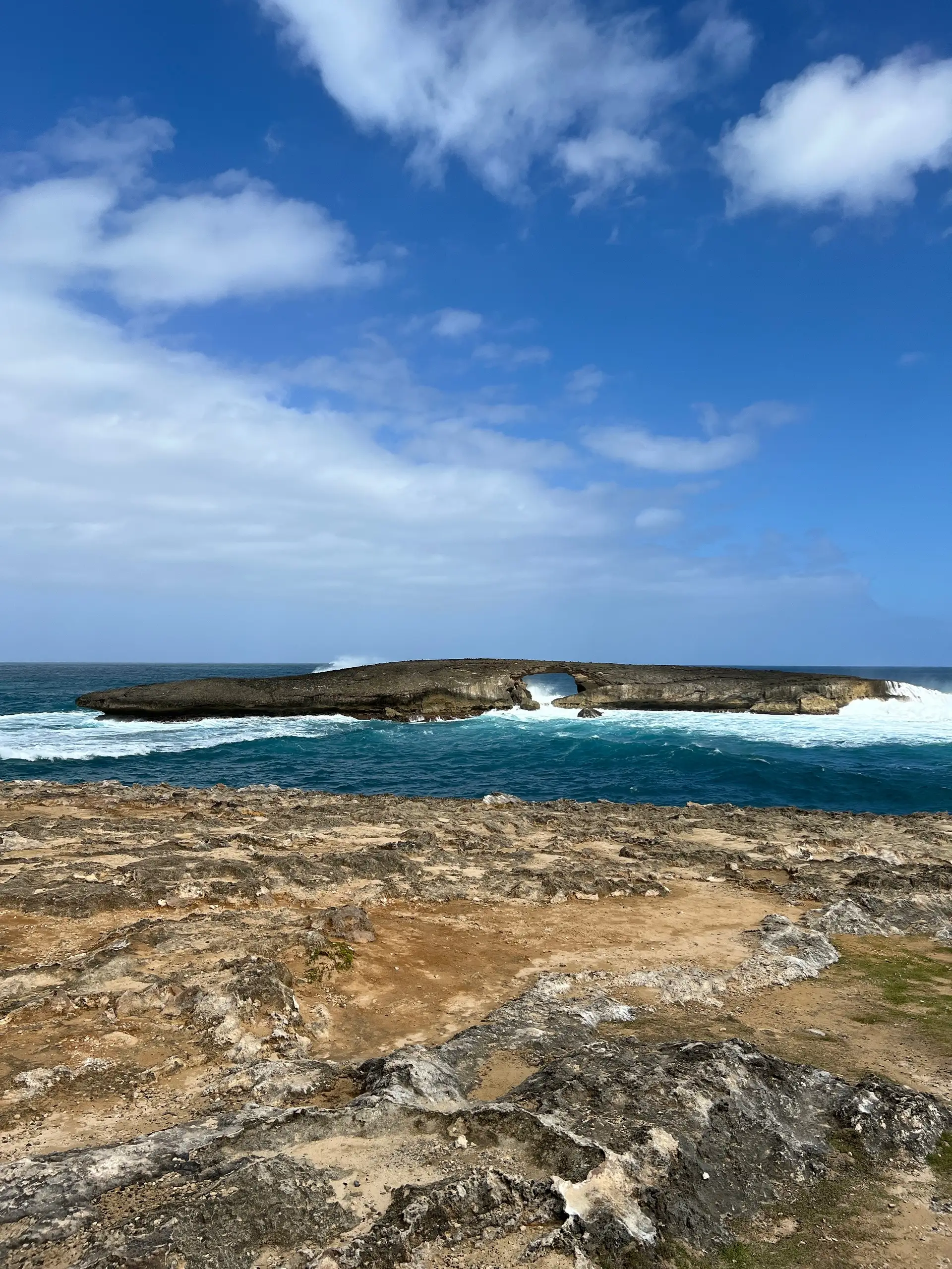 Private Island Sightseeing Tour