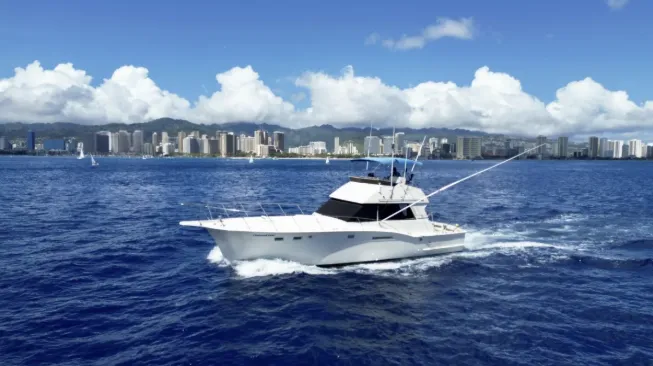 Private Sportfishing Charter - photo 2