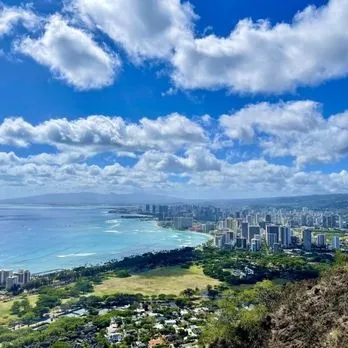 Oahu North Shore Food & Sightseeing Tour - Local Flavors & Hidden Gems - photo 2