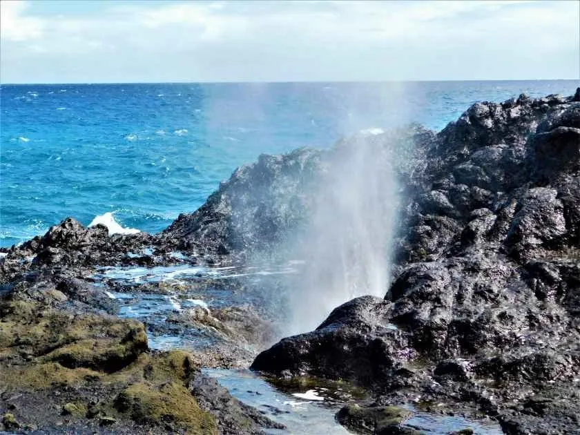 Oahu North Shore Food & Sightseeing Tour - Local Flavors & Hidden Gems - photo 4