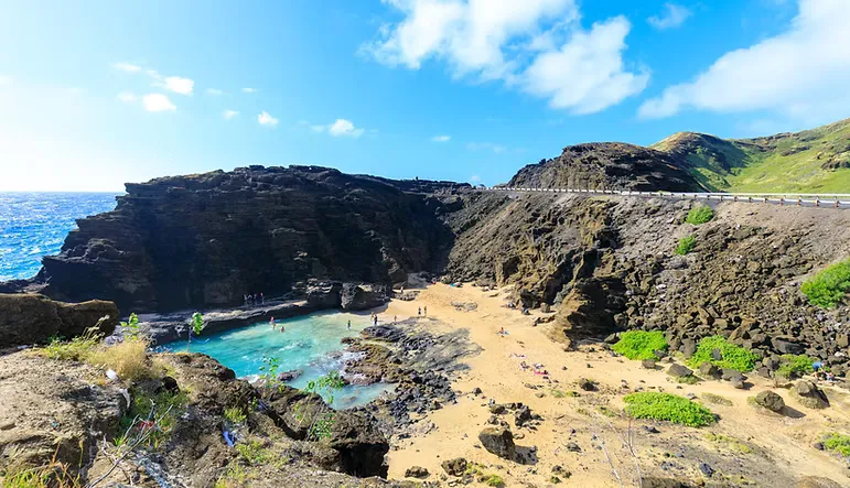 Oahu North Shore Food & Sightseeing Tour - Local Flavors & Hidden Gems - photo 5