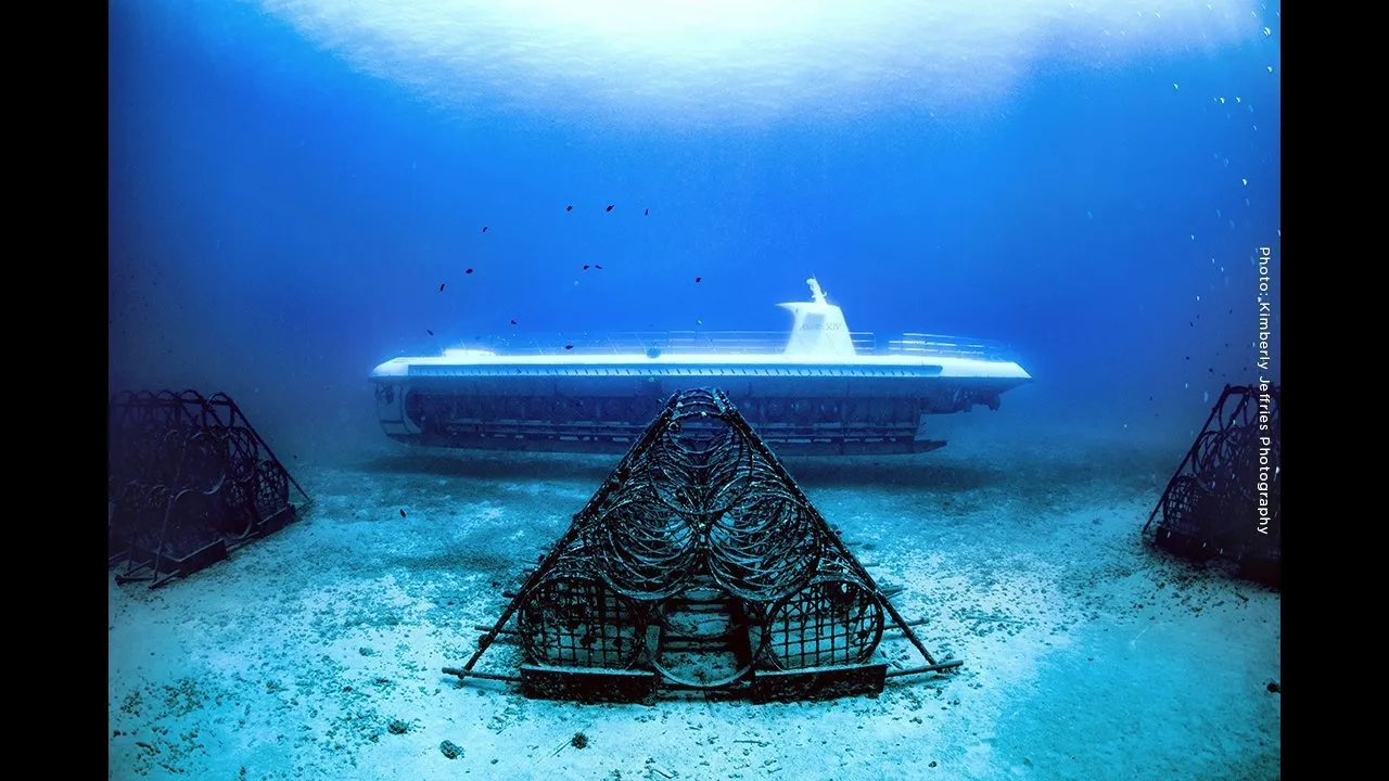 Waikiki Atlantis Undersea Adventure - photo 2