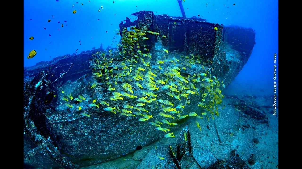Waikiki Atlantis Undersea Adventure - photo 3