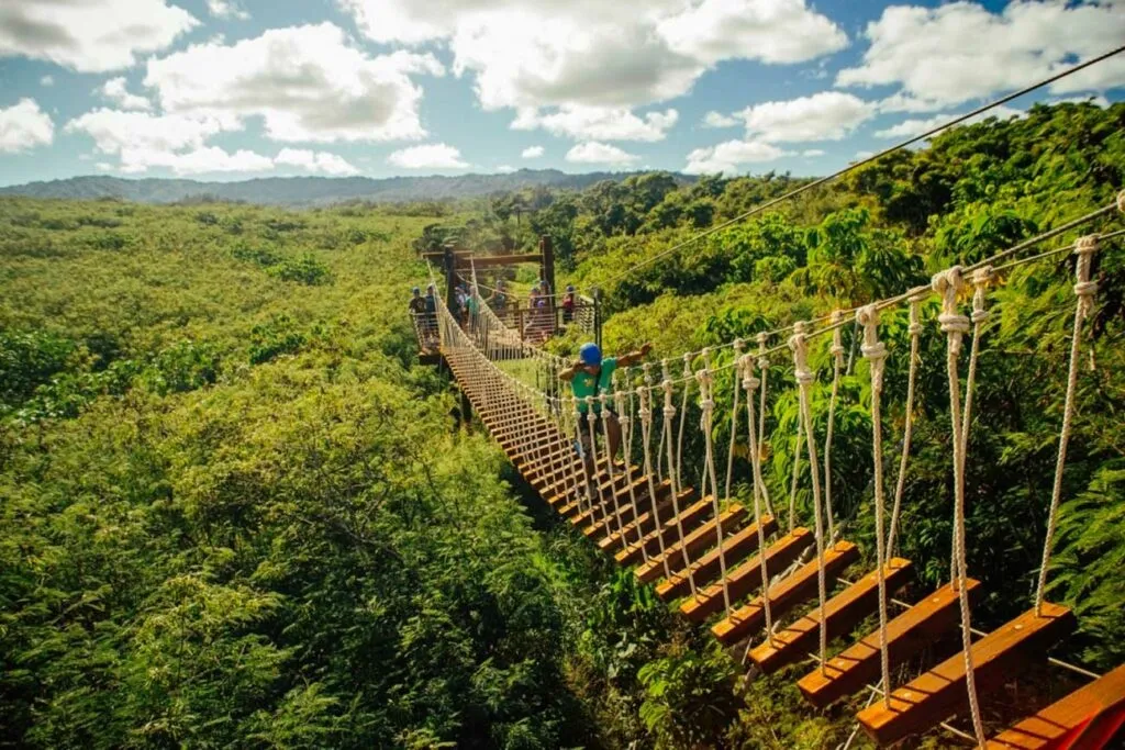 Keana Farms Zipline Tour: Fly Over Oahu's Scenic North Shore - photo 2