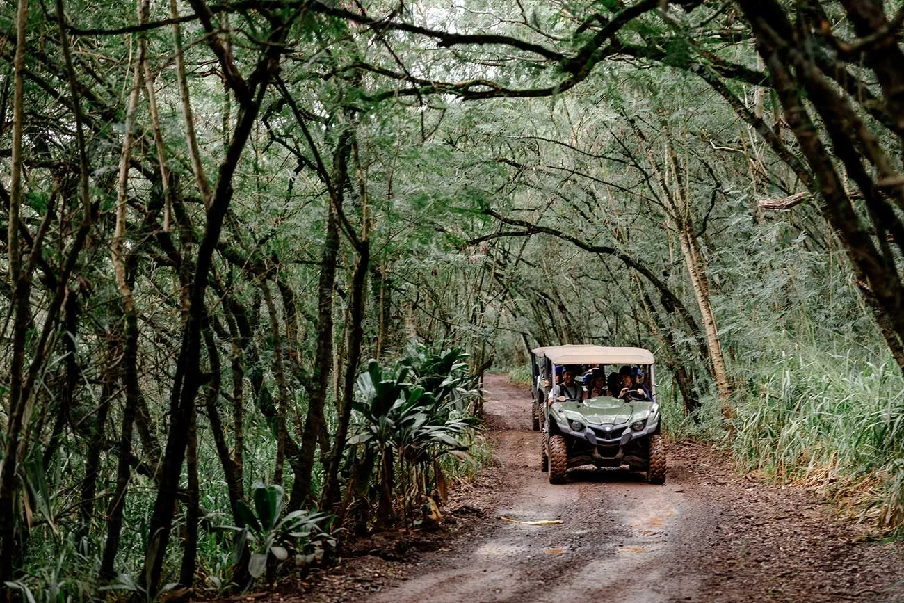 Keana Farms Zipline Tour: Fly Over Oahu's Scenic North Shore - photo 6