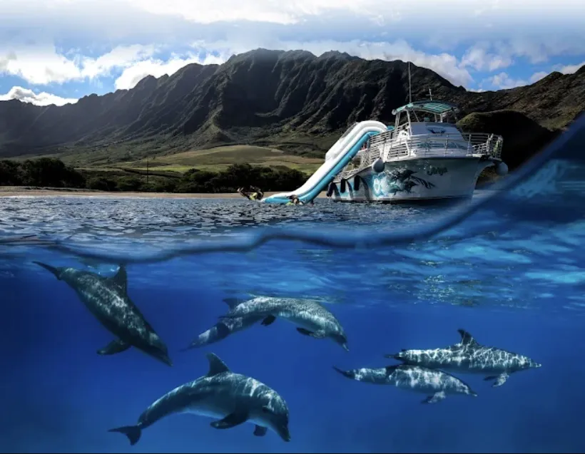 Dolphin Encounter Tour - photo 2