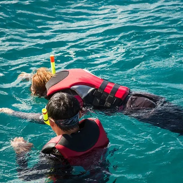 Waikiki Turtle Snorkel Tour: 30ft Jumping Platform & Multi-Level Boat Thrills - photo 2