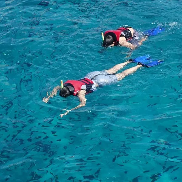 Waikiki Turtle Snorkel Tour: 30ft Jumping Platform & Multi-Level Boat Thrills - photo 3