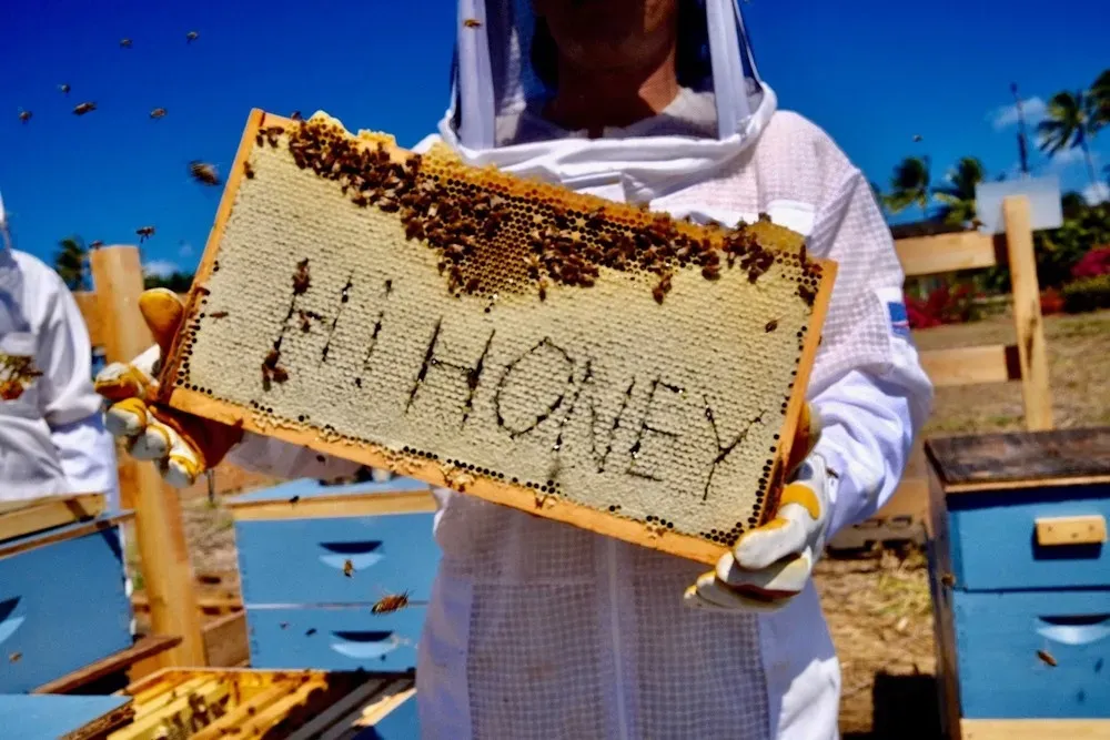 North Shore Oahu Bee Farm Tour: Suit Up, See Hives, & Hawaiian Honey Tasting - photo 2