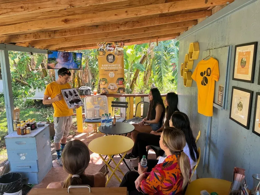 North Shore Oahu Bee Farm Tour: Suit Up, See Hives, & Hawaiian Honey Tasting - photo 3