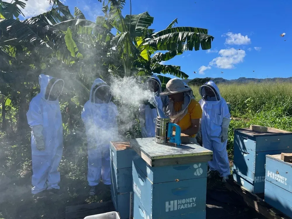 North Shore Oahu Bee Farm Tour: Suit Up, See Hives, & Hawaiian Honey Tasting - photo 5