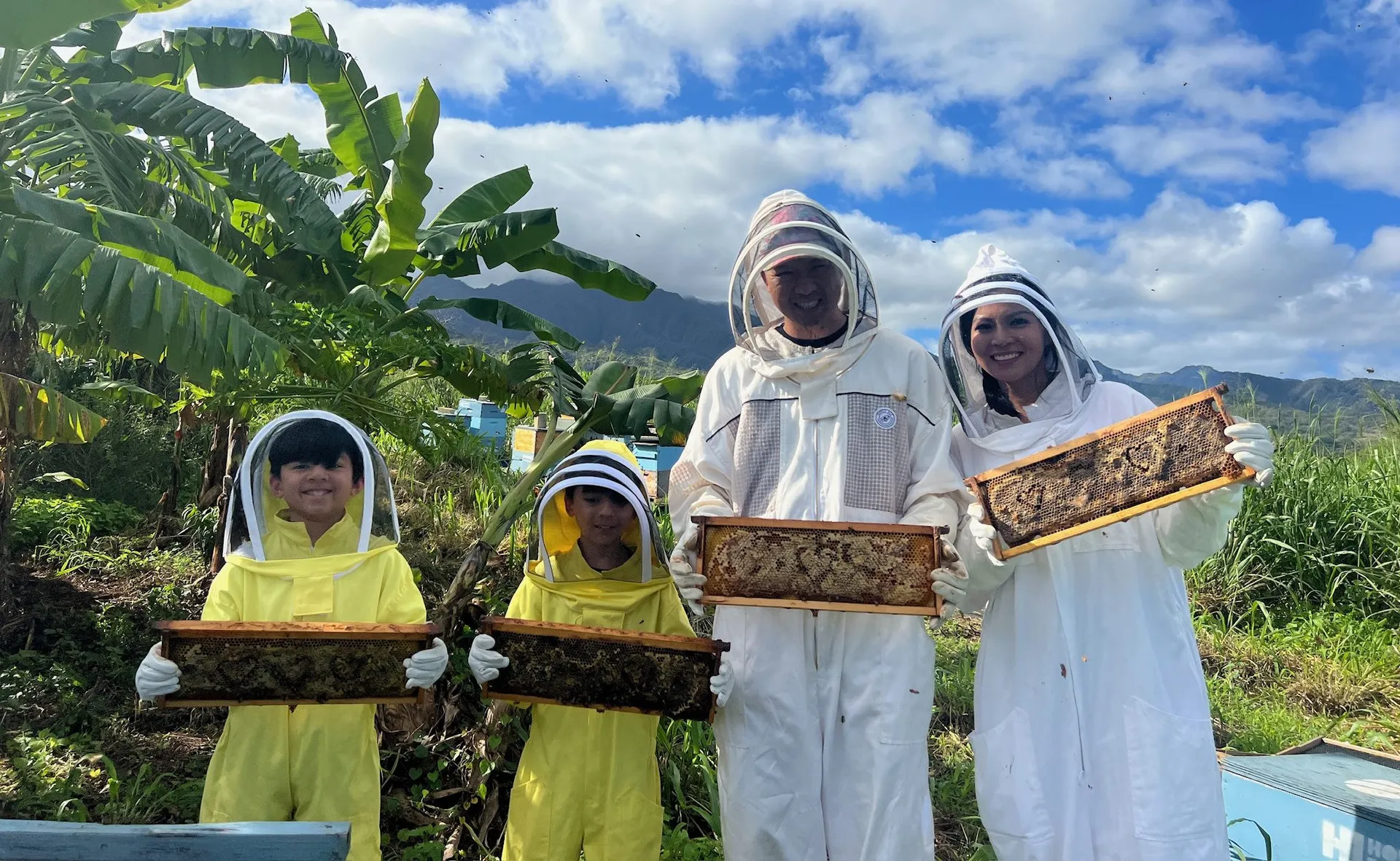 North Shore Oahu Bee Farm Tour: Suit Up, See Hives, & Hawaiian Honey Tasting