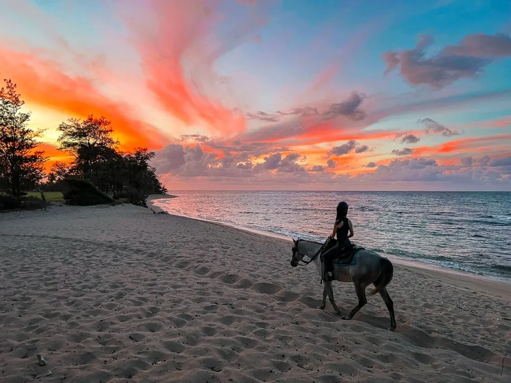 Scenic Horseback Riding on Oahu's North Shore with Stunning Ocean Views - photo 1