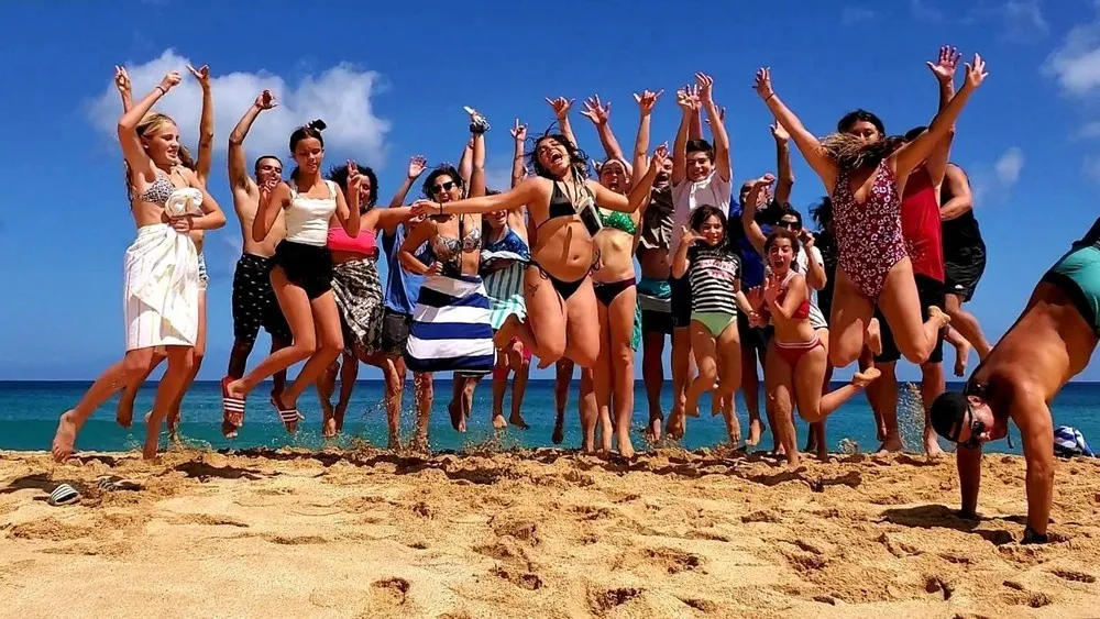 Oahu North Shore Turtle Snorkel & Circle Island Adventure - Local Encounters - photo 2