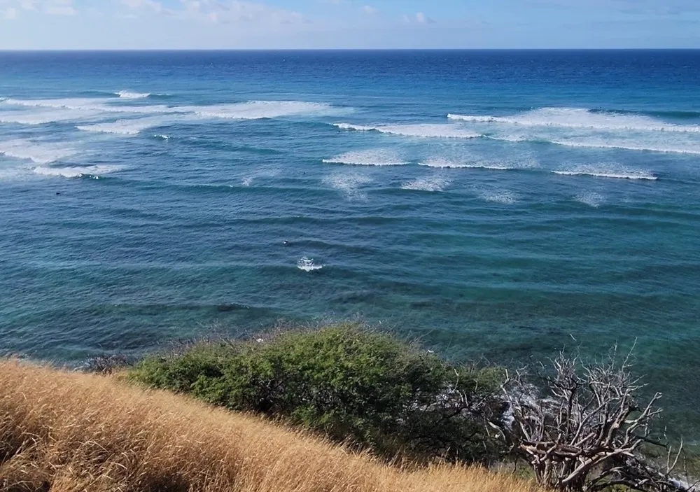 Oahu North Shore Turtle Snorkel & Circle Island Adventure - Local Encounters - photo 6