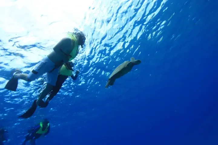 Waikiki Turtle Canyon Snorkel Cruise: Swim with Sea Turtles & Cultural Tour - photo 2