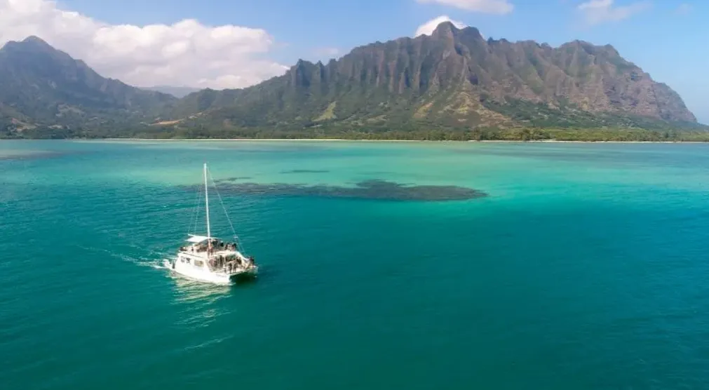 Kualoa Ranch Half-Day Tour: Movie Sites, Ocean Voyage, & Buffet Lunch - photo 6