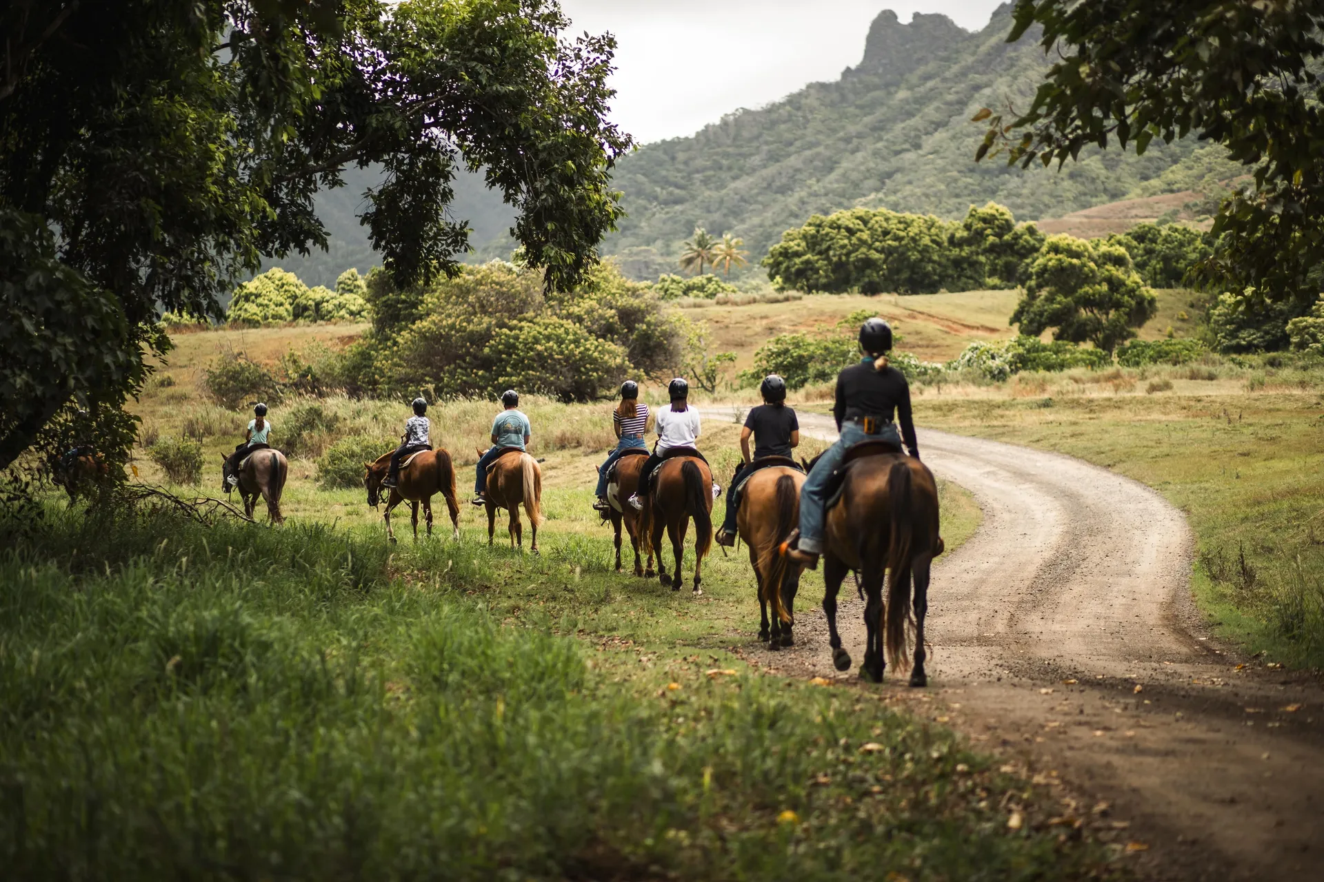 Guided Horseback Adventure at Kualoa: Explore Valleys and Pastures like a Hawaiian Cowboy - photo 1