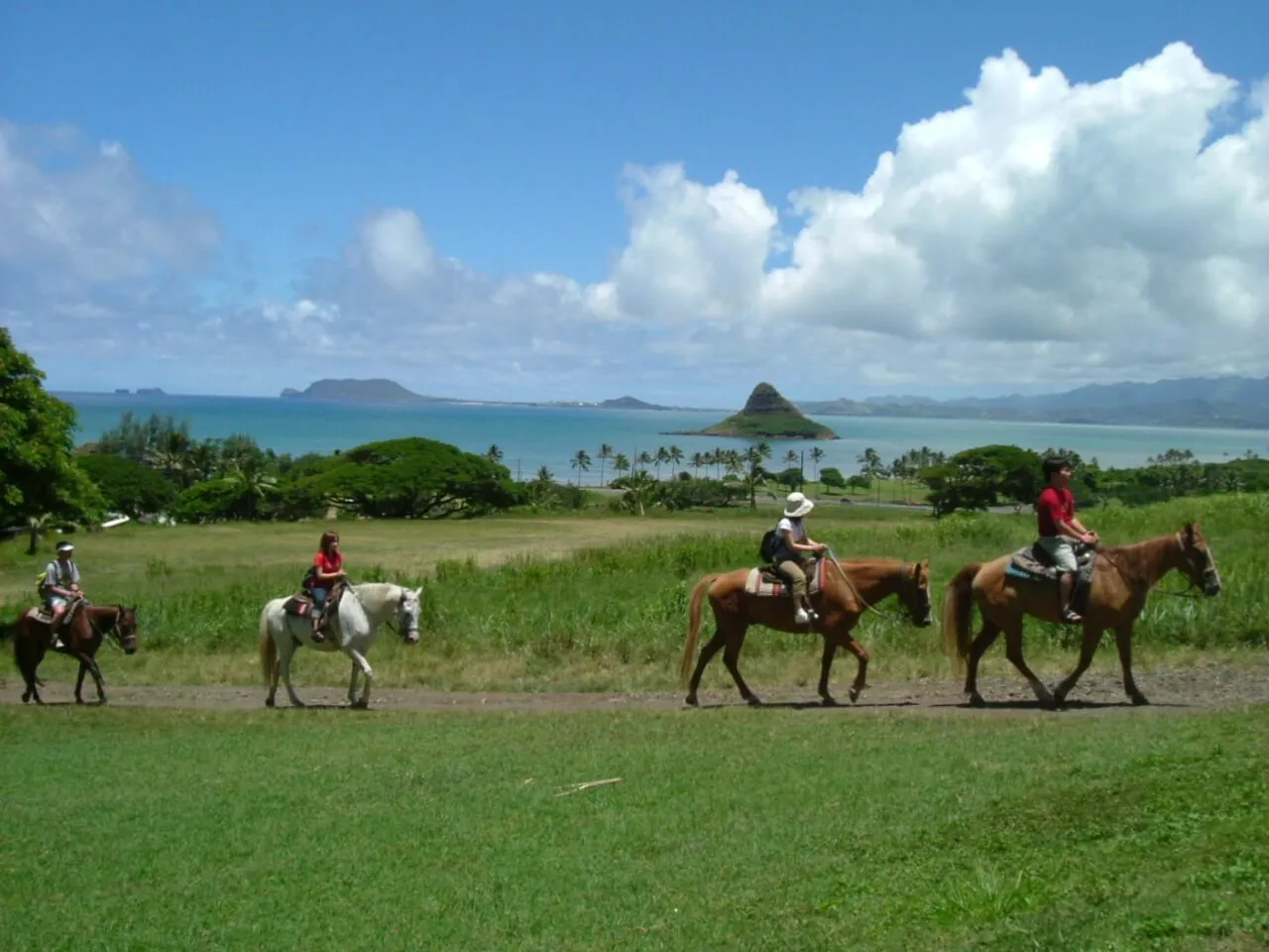 Guided Horseback Adventure at Kualoa: Explore Valleys and Pastures like a Hawaiian Cowboy - photo 2