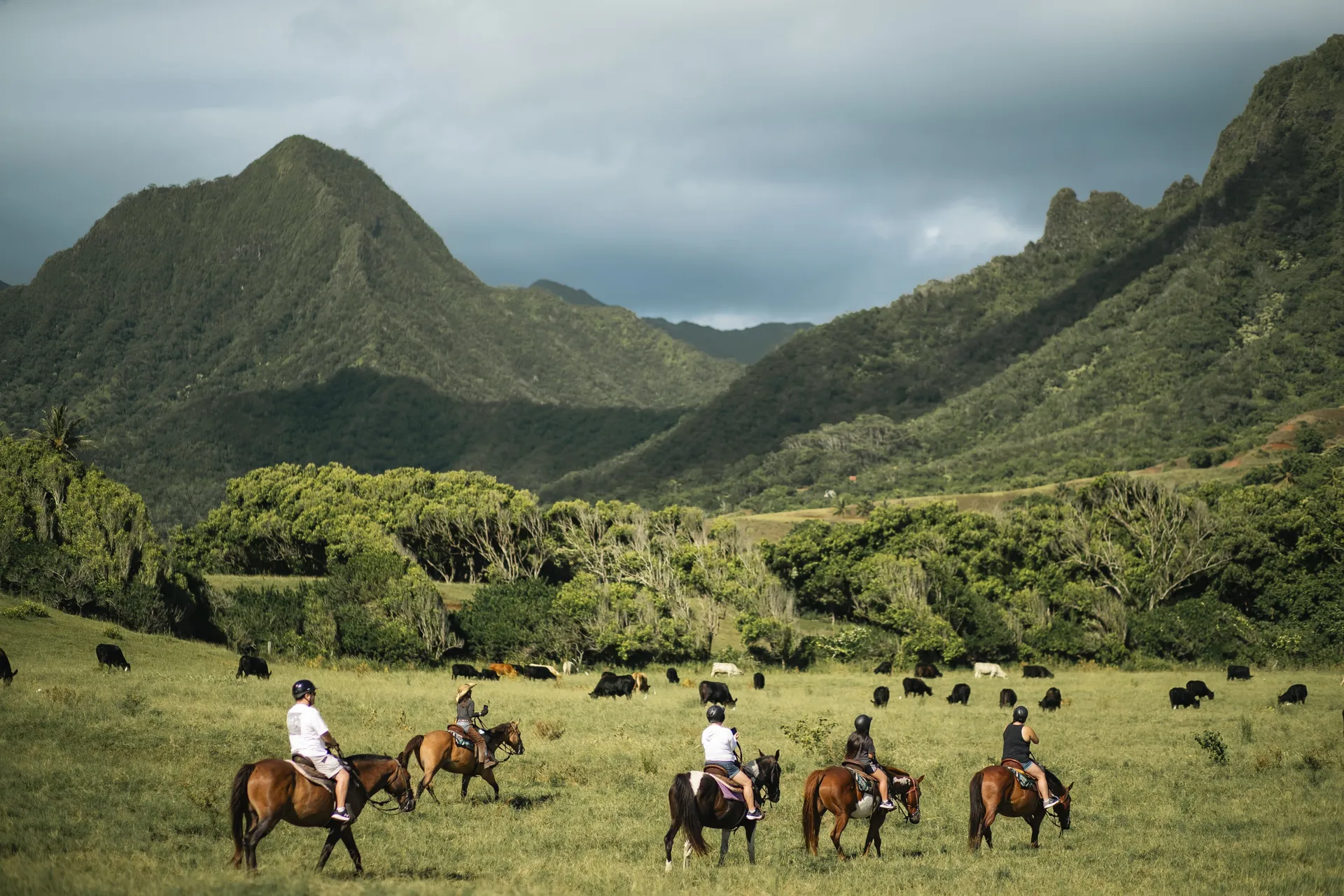 Guided Horseback Adventure at Kualoa: Explore Valleys and Pastures like a Hawaiian Cowboy