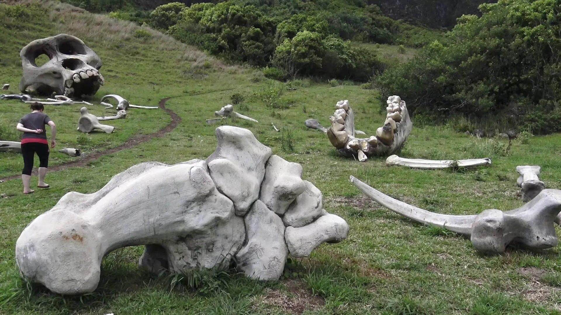 Kualoa Ranch Movie Sites Tour: Jurassic Valley & WWII Bunker on Vintage Bus