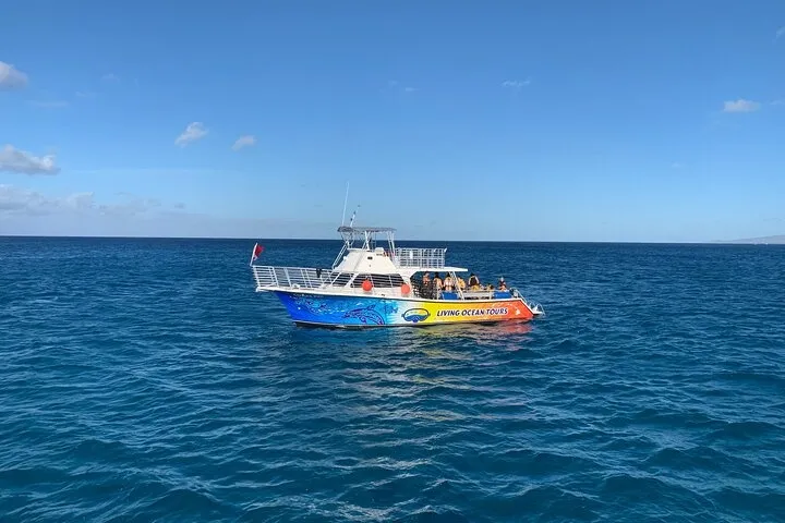 Waikiki Sunset Whale Watch