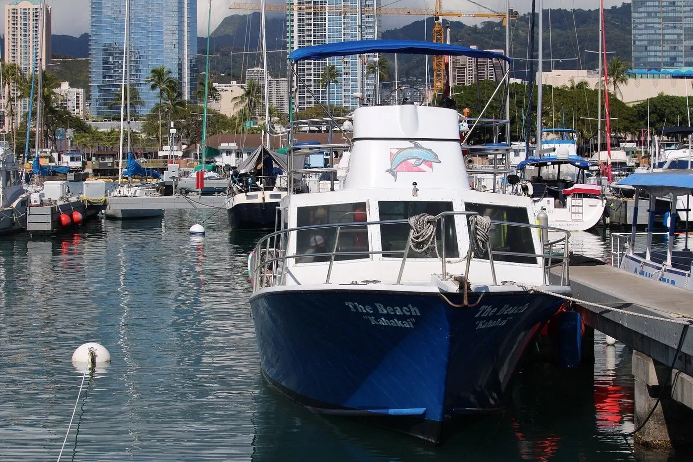Waikiki Sunset Whale Watch - photo 4