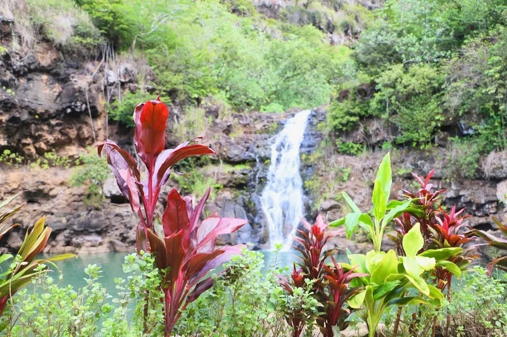 Oahu Waimea Waterfall Hike & Swim Tour with Dole Whip and Picnic Lunch - photo 1