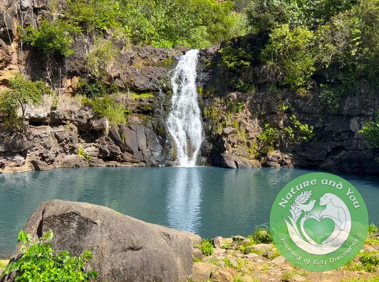 Oahu Waimea Waterfall Hike & Swim Tour with Dole Whip and Picnic Lunch - photo 2