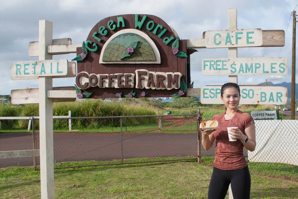 Oahu Waimea Waterfall Hike & Swim Tour with Dole Whip and Picnic Lunch - photo 3