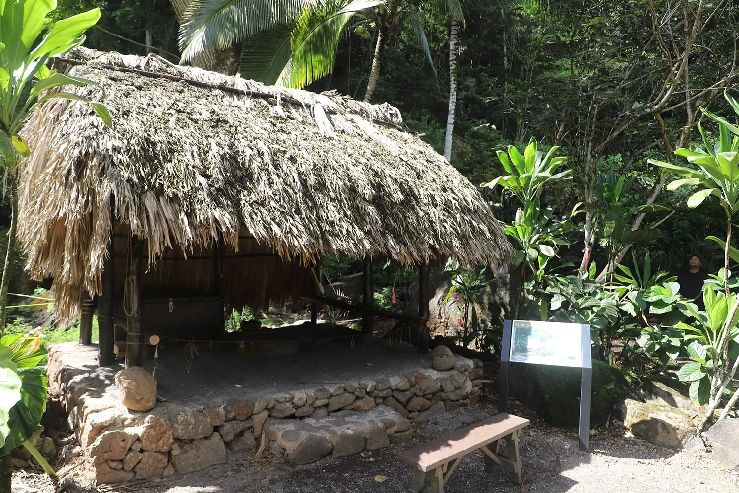 Oahu Waimea Waterfall Hike & Swim Tour with Dole Whip and Picnic Lunch - photo 5