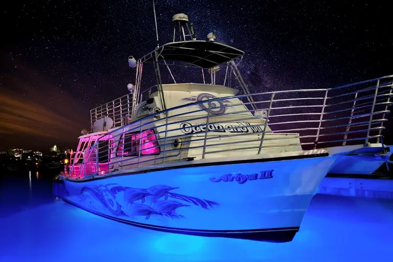 Waikiki Sunset Party Cruise (21+): Live DJ, Drinks, & Ocean Views - photo 1