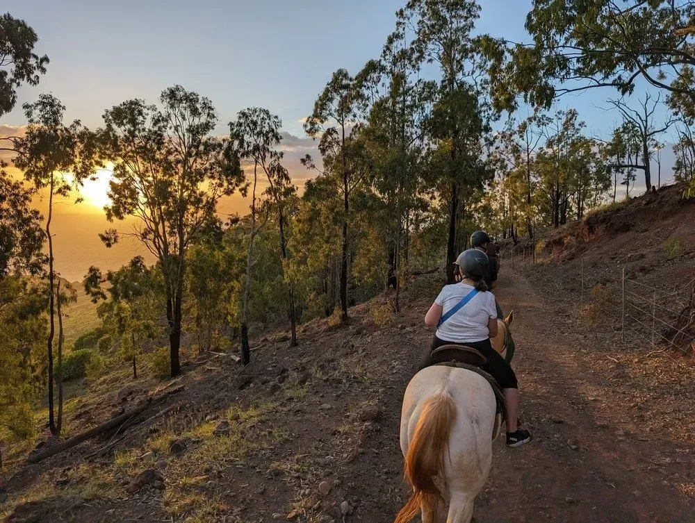 Oahu West Side Horseback Ride: Mountain & Coastal Views on Scenic Trails - photo 4