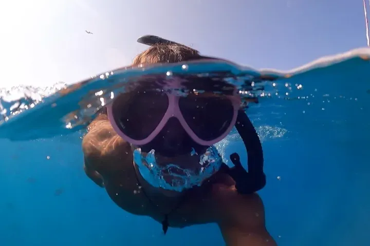 Waikiki Turtle Canyon Snorkel Tour: 2-Hour Inner Reef Sea Turtle Adventure - photo 1