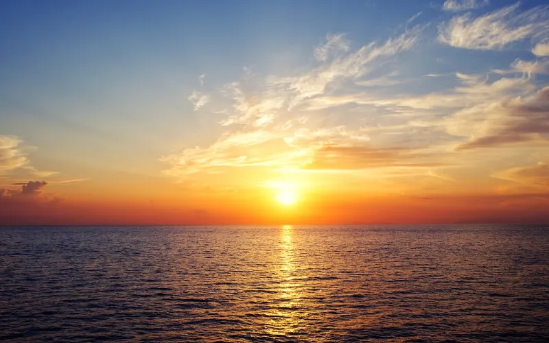 Sunset Dinner Cruise - photo 2