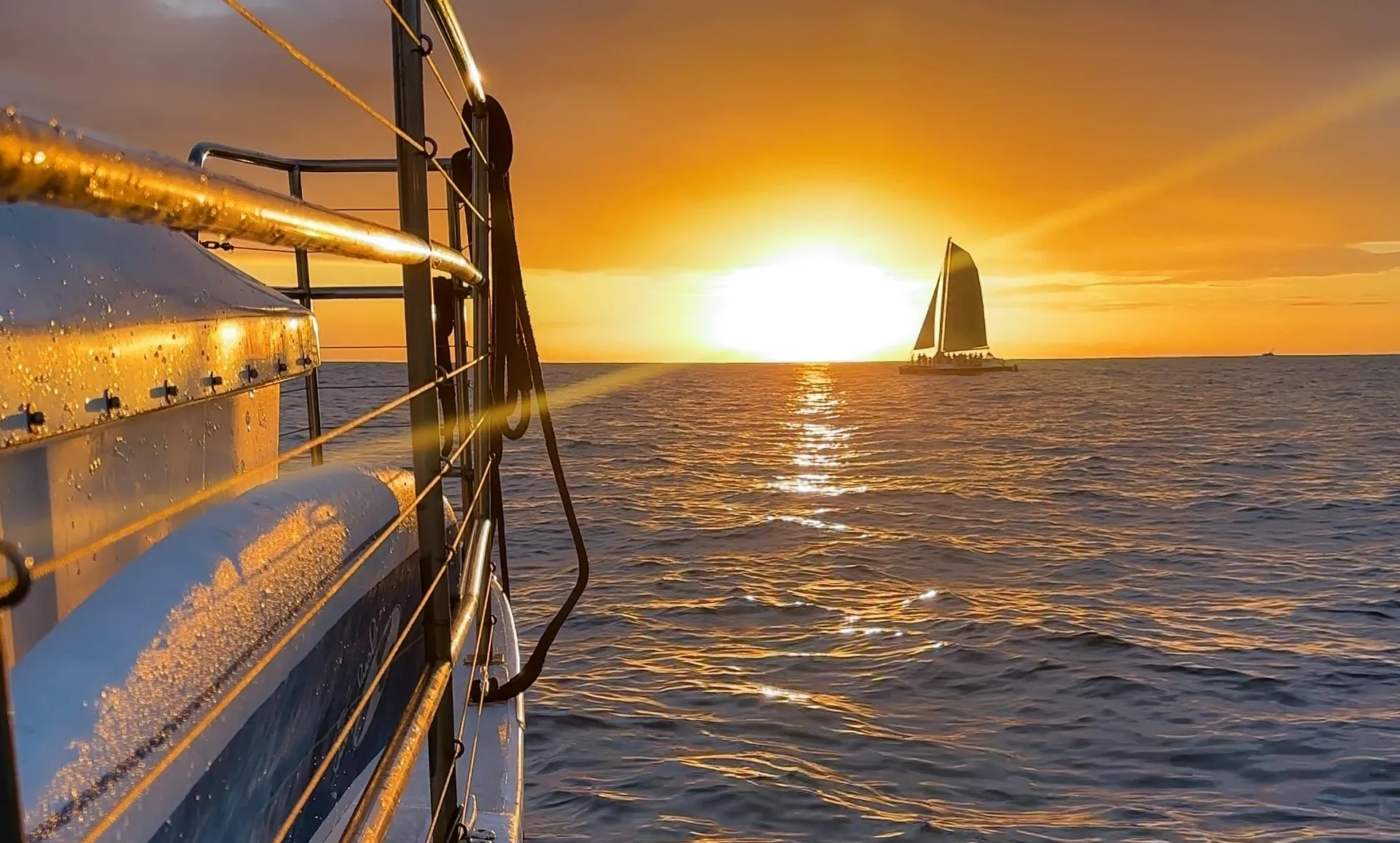 Frequently Asked Questions - Explore Hawaii Tours