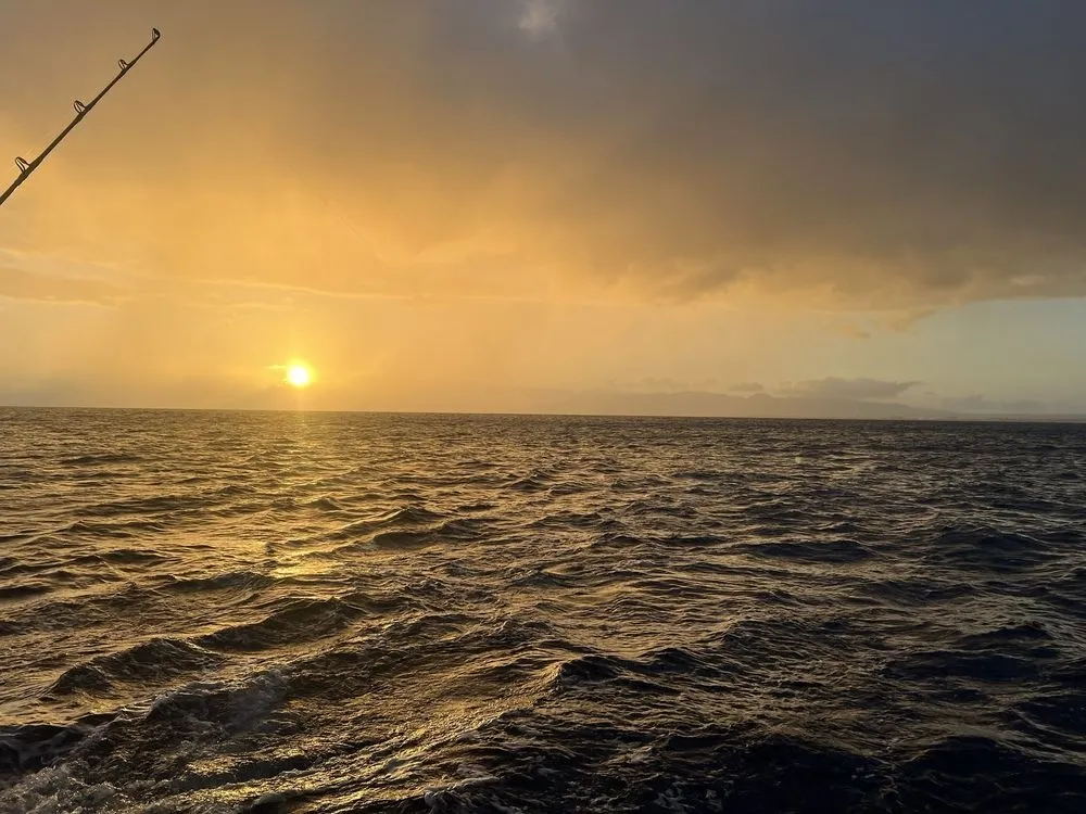Sunset Swim and Sail - photo 2