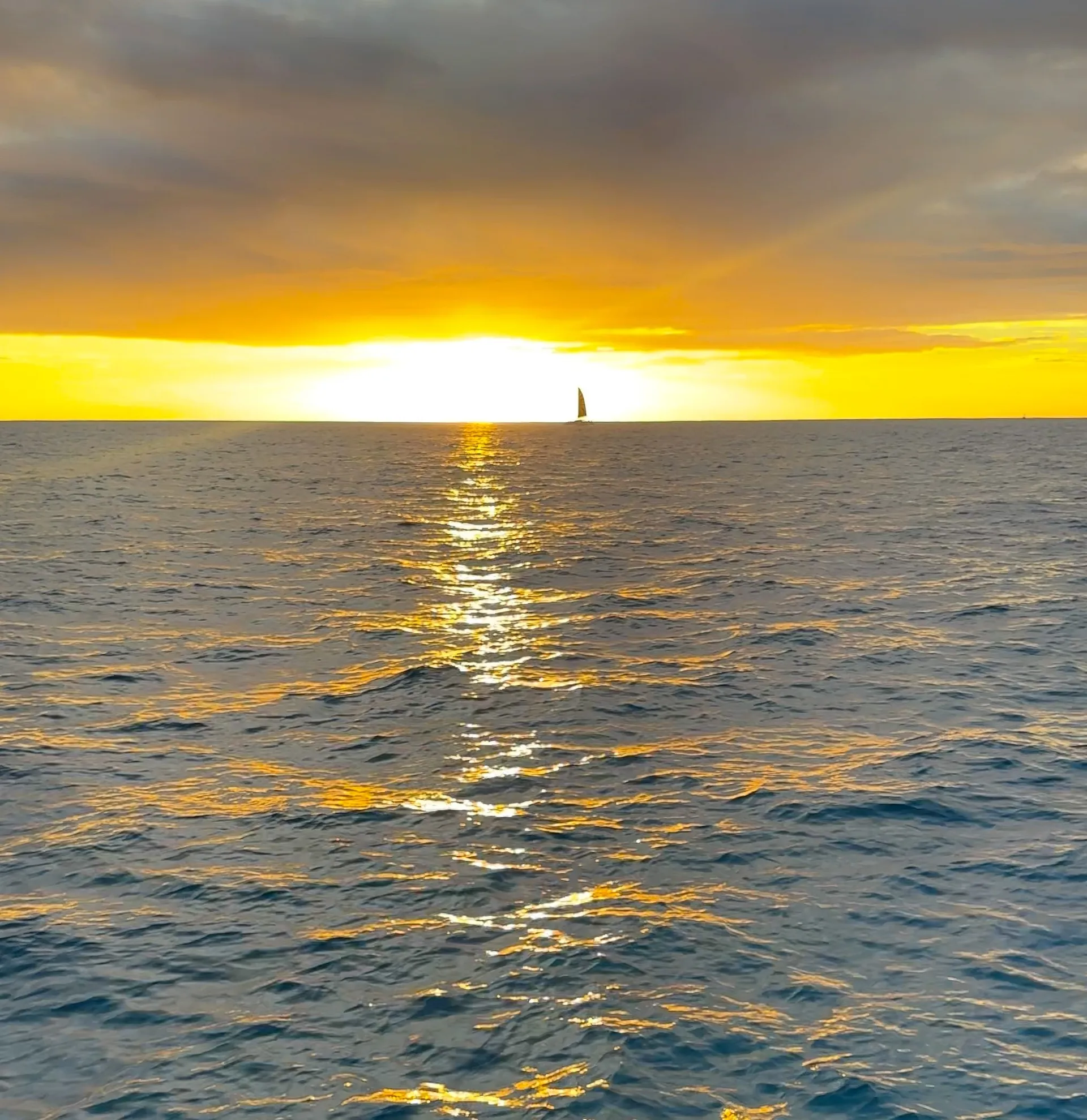 Sunset Swim and Sail - photo 6