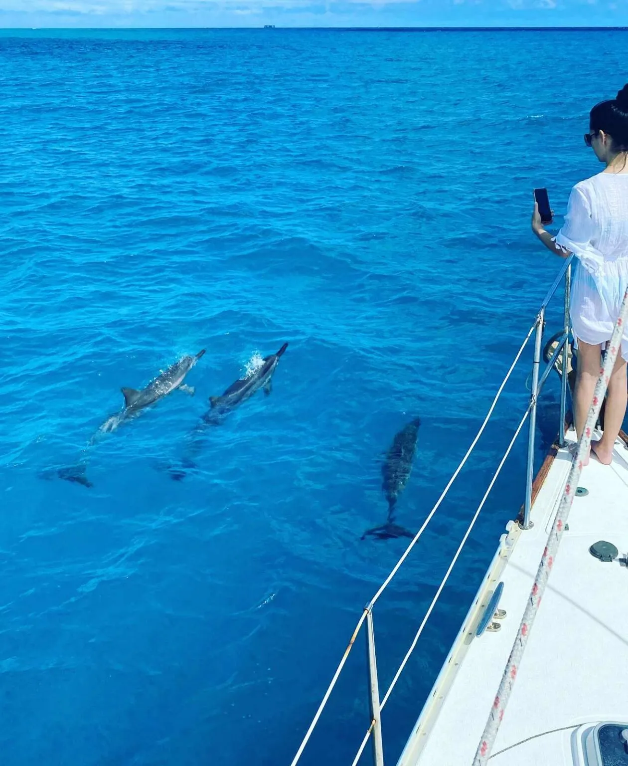 Oahu Sunrise Sail & Luxury Yacht Snorkel with Sea Turtles - photo 4