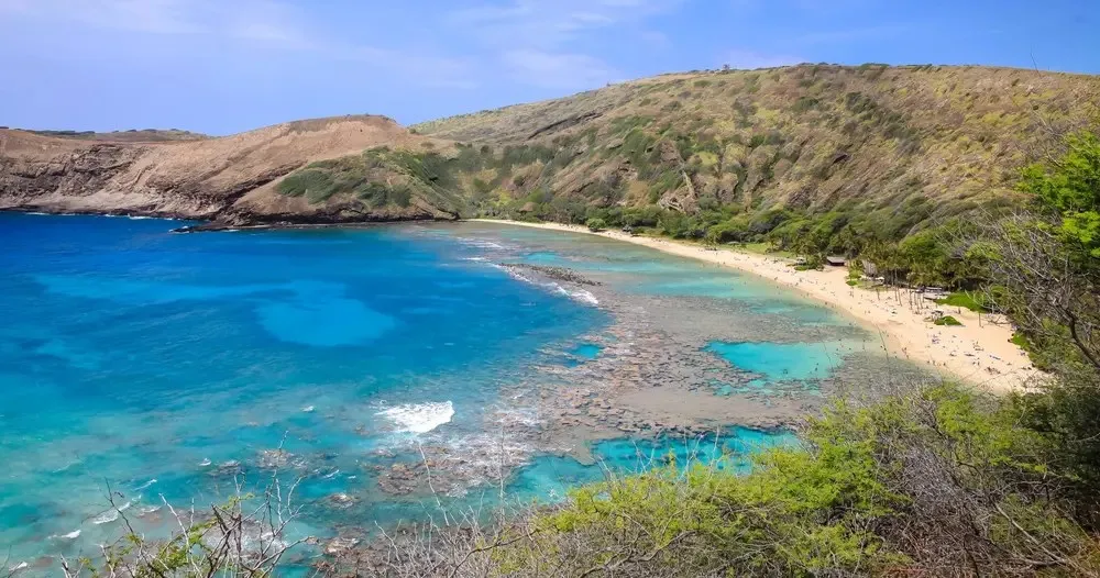 Hanauma Bay Snorkeling Tours & Lessons: Oahu Guided Snorkeling Experience - photo 6