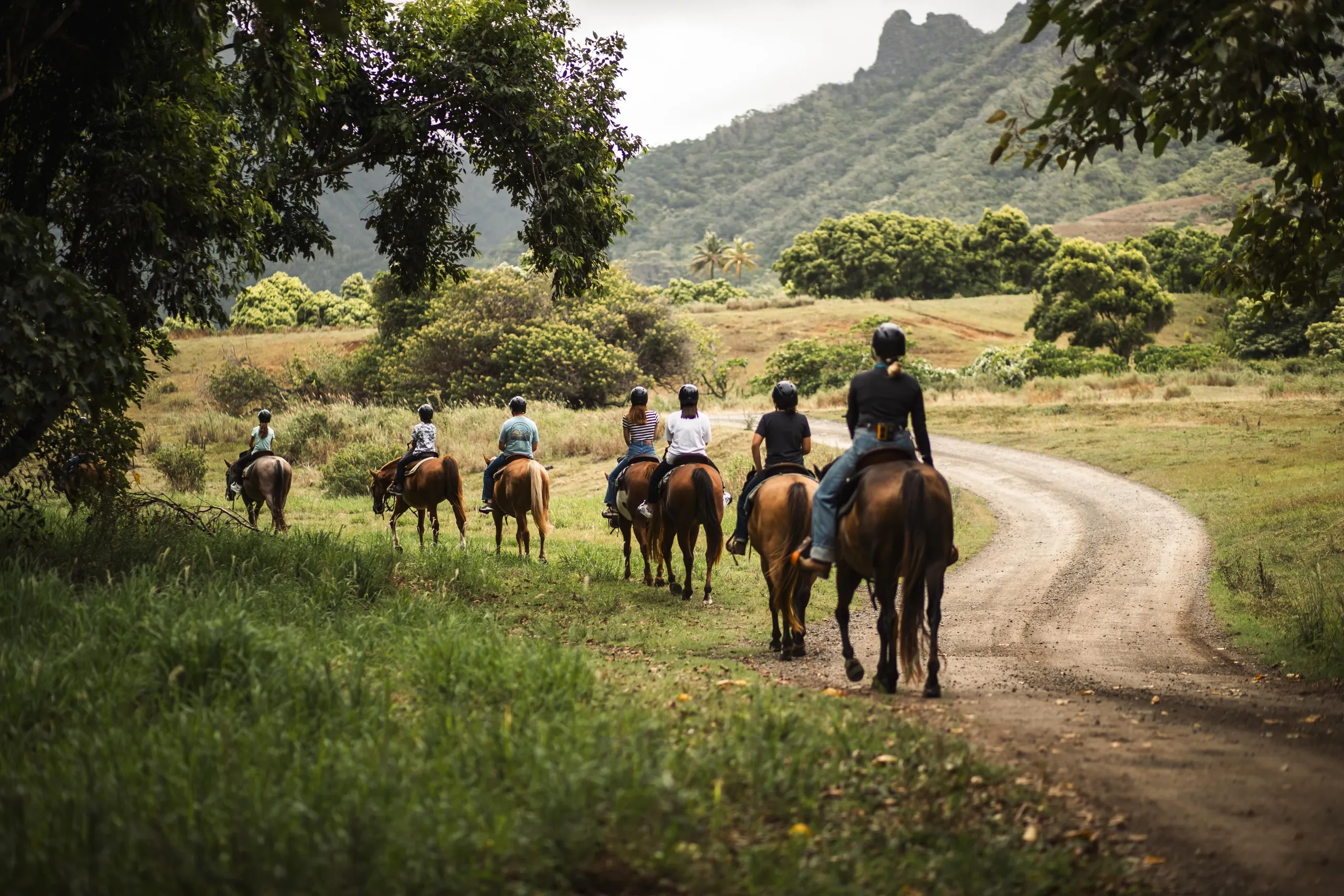 Guided Horseback Adventure at Kualoa: Explore Valleys and Pastures like a Hawaiian Cowboy - photo 1