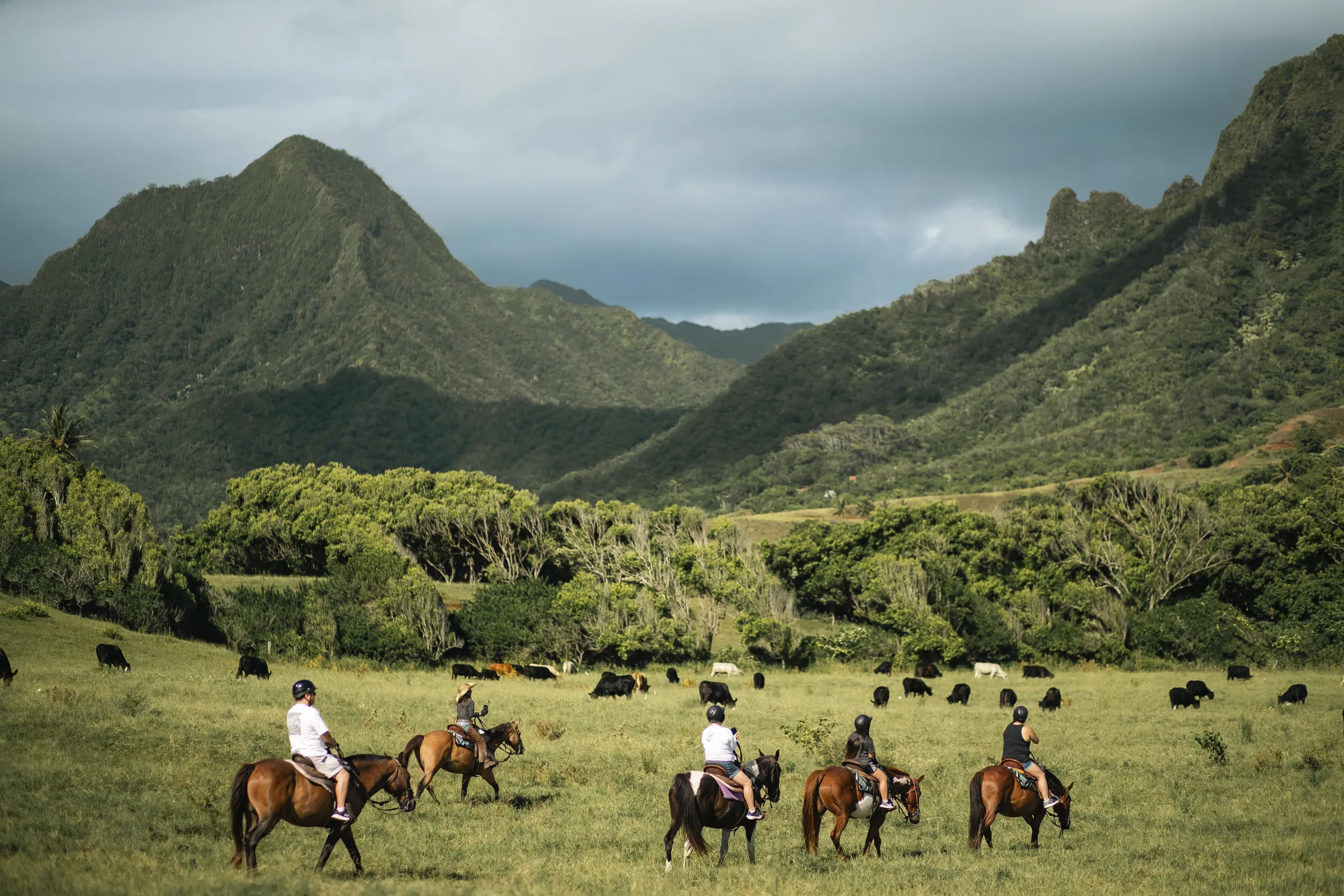 Guided Horseback Adventure at Kualoa: Explore Valleys and Pastures like a Hawaiian Cowboy