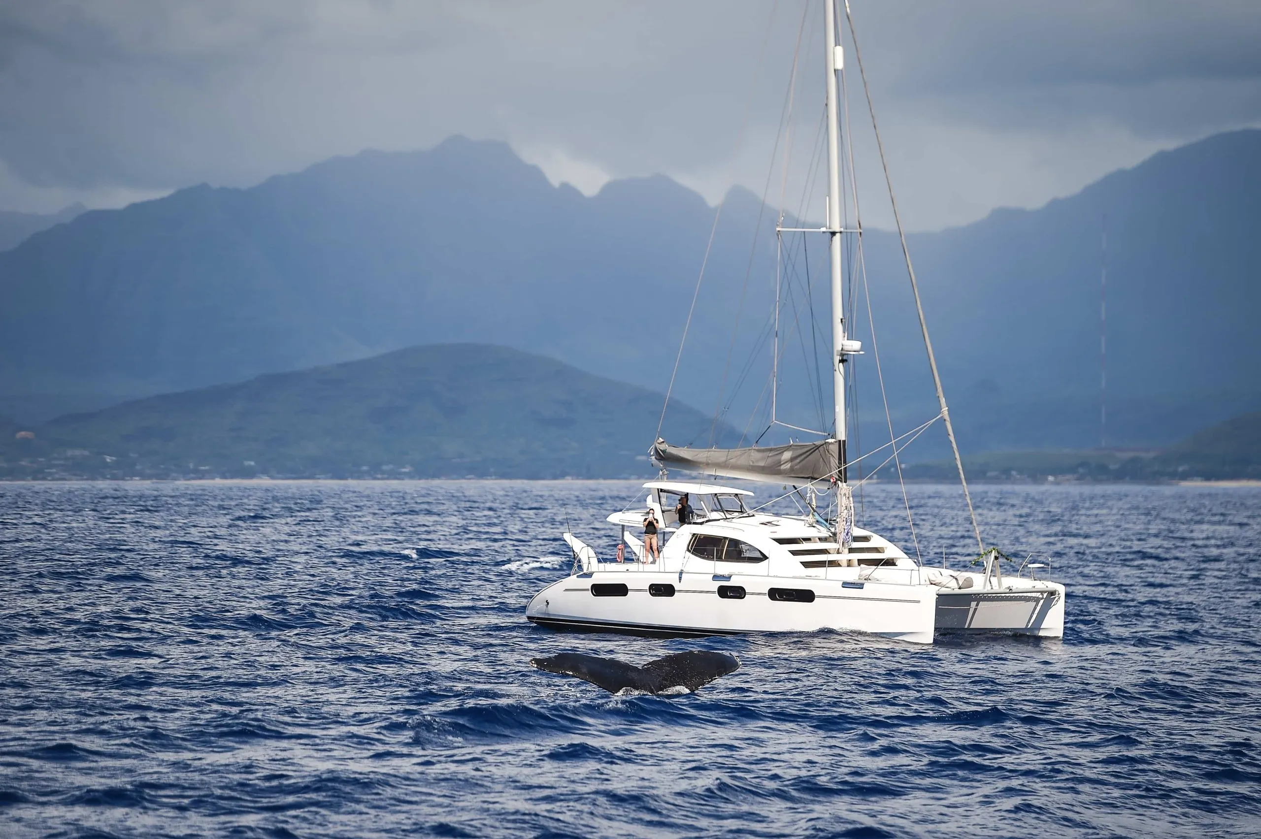 Ko Olina Captain's Sunset Cruise: Intimate Evening Sail and Gourmet Tasting - photo 2