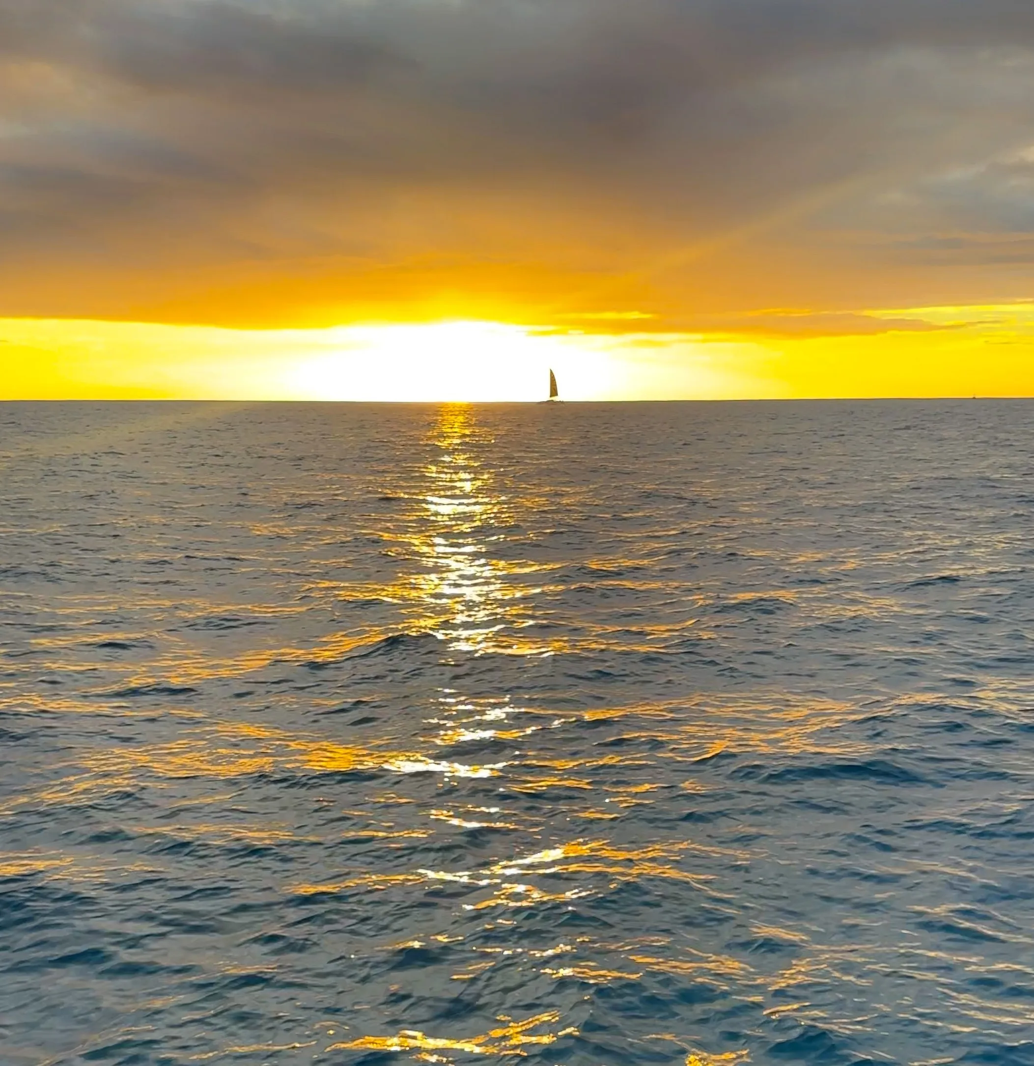 Sunset Swim and Sail - photo 6